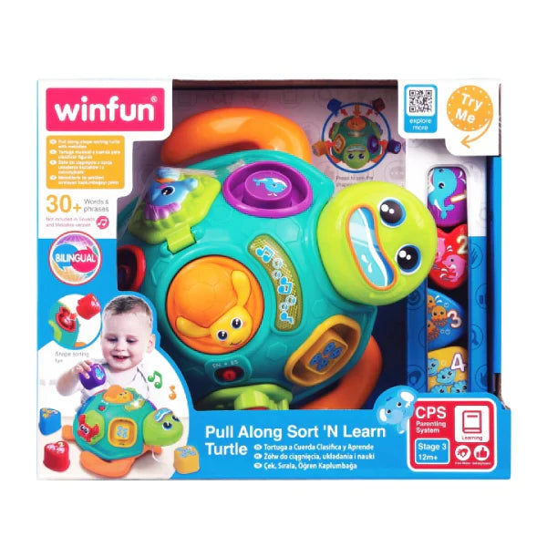 Tortue WF_240301