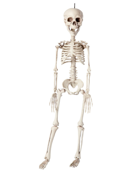 SQUELETTE 76 CM