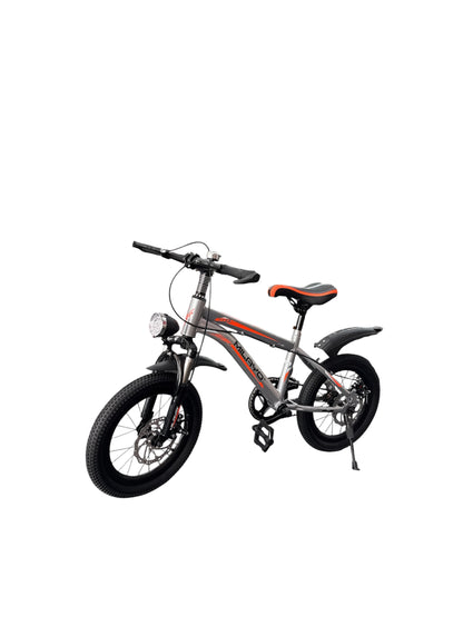 BICYCLETTE 16