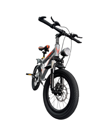 BICYCLETTE 16
