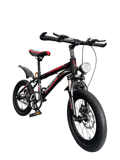 BICYCLETTE 16